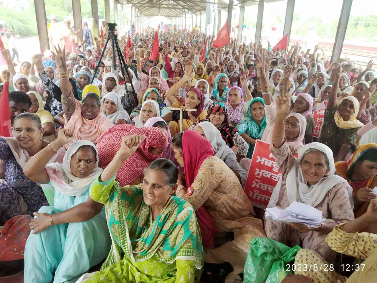 rally-in-punjab-against-mann